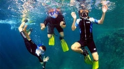 Excursión de Snorkel en Tenerife